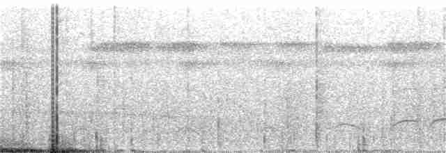 Желтоклювая якамара - ML325272171