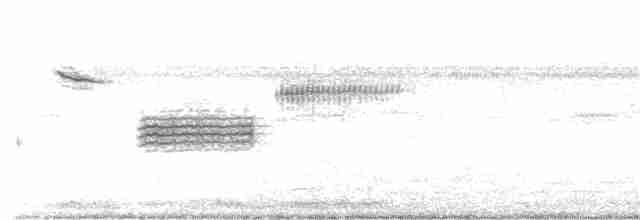 Желтобровая овсянка-барсучок - ML325279911