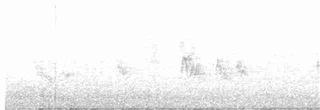 Magellandrossel - ML325292251