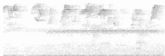 Серогорлый колибри-отшельник - ML325293311