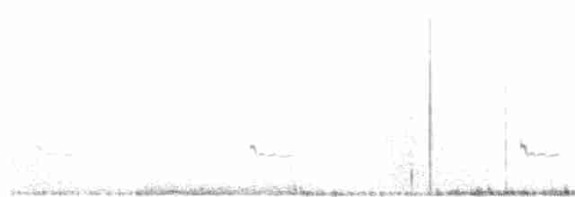 Pluvier oréophile - ML325302431