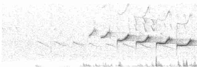 Каньонный крапивник - ML325314051