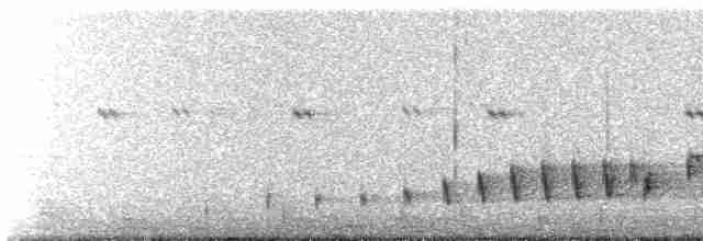 Buff-collared Nightjar - ML325360371