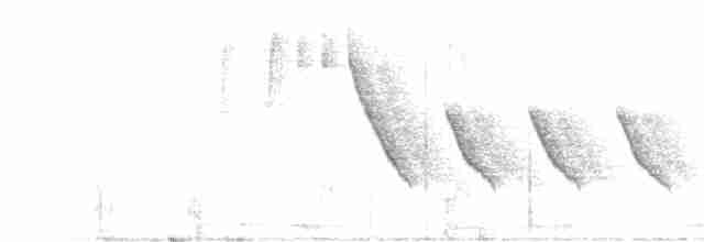 Thicket Tinamou - ML325420181