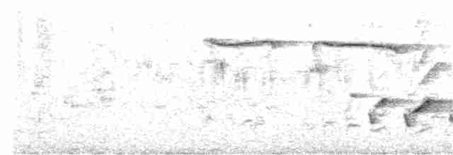 svarthodelarveeter - ML325491691