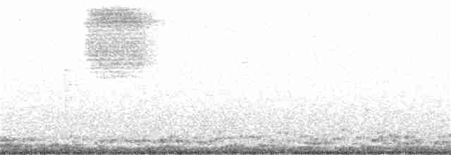 領角鴞 - ML325493341