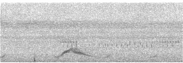 Weißschwanz-Nachtschwalbe - ML325539041