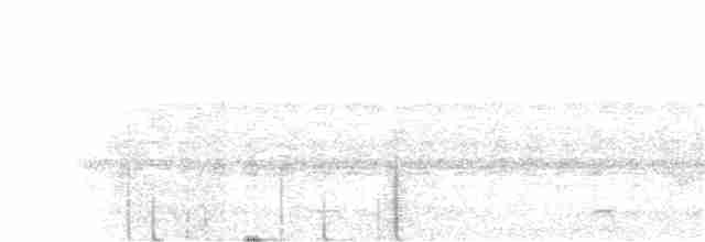 White-browed Shrike-Babbler - ML325556241