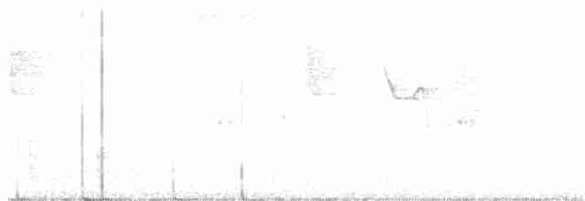 Лопатодзьоб білогорлий - ML325565031