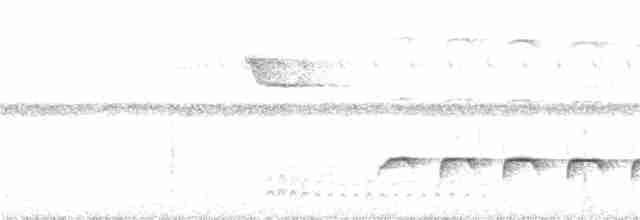 Weißrücken-Ameisenvogel - ML325581101