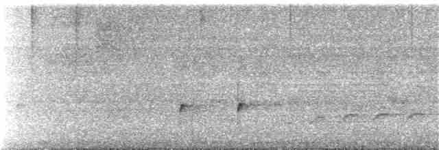 Kulaklı Küçük Tiran - ML325725221
