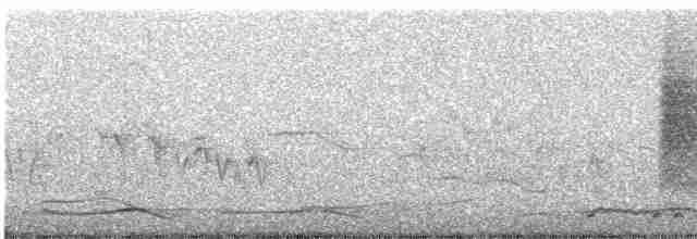 Manchurian Reed Warbler - ML325795811
