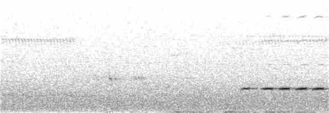 Buff-chested Babbler - ML325838721