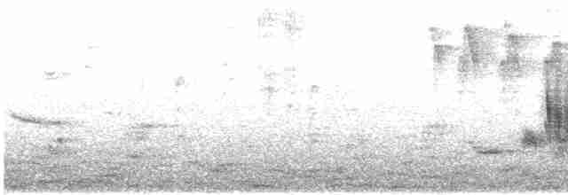 Buff-chested Babbler - ML325838991