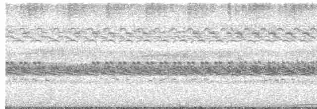 Small-billed Tinamou - ML325839891