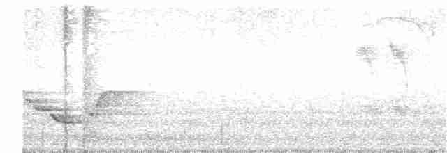 Каролинский крапивник - ML325843631