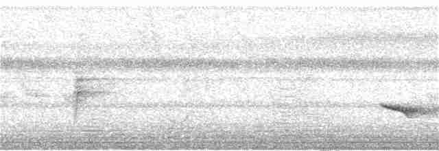 Trogon à queue blanche - ML325848691
