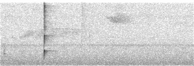 Шлемоносная чубатка - ML325848931