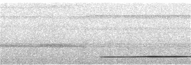 Сероногий скрытохвост - ML325849011