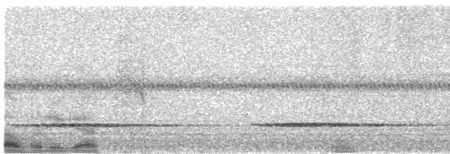 Variegated Tinamou - ML325856411