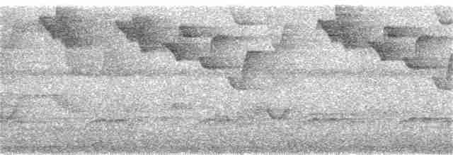 Гвианский колибри-отшельник - ML325857611