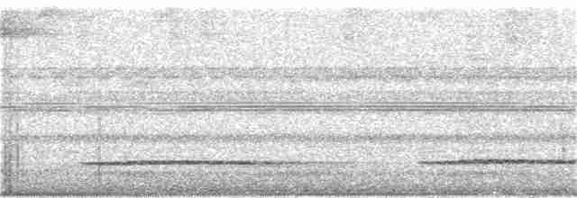 Красногрудый скрытохвост - ML325868521