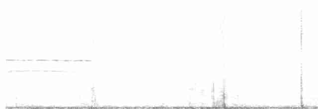 Ширококрылый канюк - ML325925131