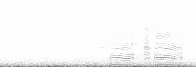 Сула жовтодзьоба - ML32604