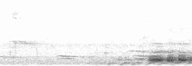 Серый павлиний фазан - ML326098111
