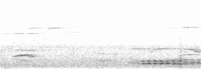 Серый павлиний фазан - ML326098131