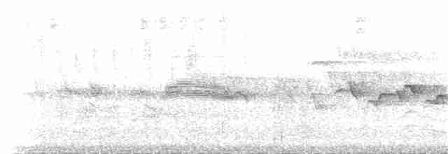 Белокрылая канделита - ML32609841