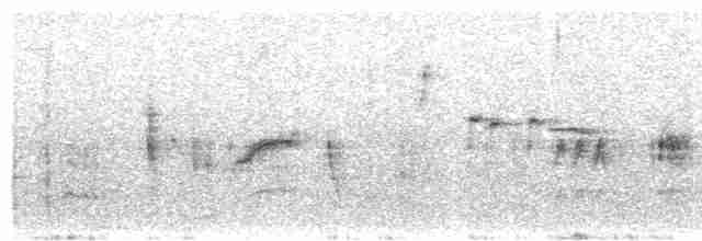 Common Reed Warbler (Caspian) - ML326124341