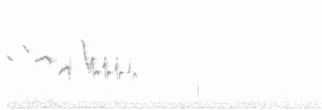 Трав’янка сіра - ML326138921