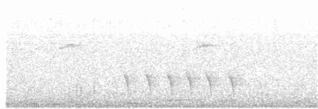 Rufous-margined Antwren - ML326143861