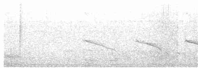 Crescent-chested Puffbird - ML326143951