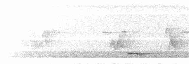 Lance-tailed Manakin - ML32614961