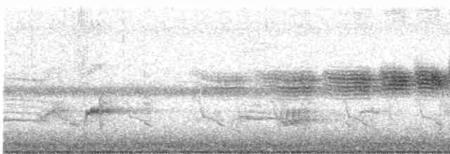 Prairie Warbler - ML326152851