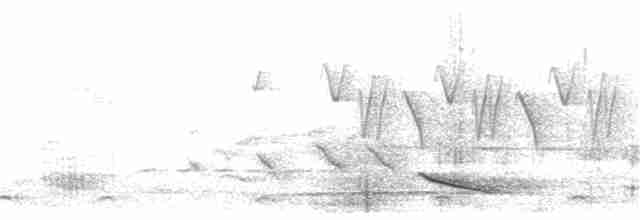Пестрокрылый горный дубонос - ML326201801