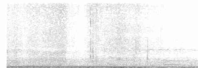 Віреон світлобровий (підвид gilvus) - ML326232991