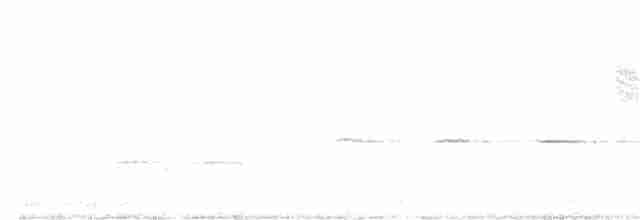 lesňáček modropláštíkový - ML326324171