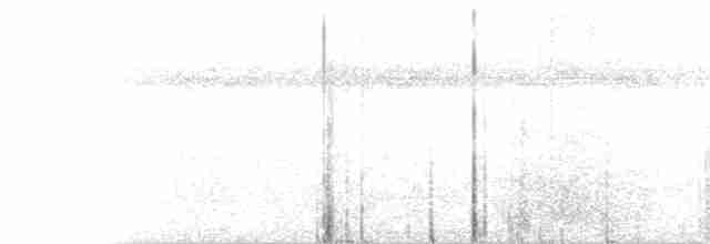 Black-tailed Trogon - ML326351881