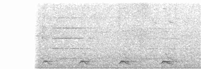 Blue-tailed Trogon - ML326468401
