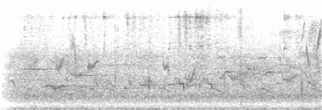 Малая воробьиная овсянка - ML326501621
