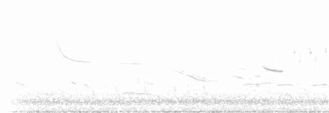 Малая воробьиная овсянка - ML326501971