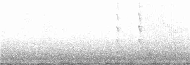 Colibri à gorge noire - ML32651531