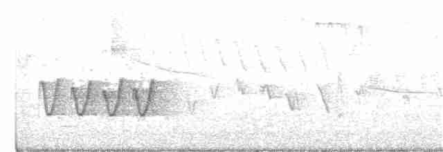 Дубовая гренадерка - ML326520071