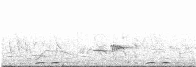 Одуд євразійський (підвид africana) - ML326529961