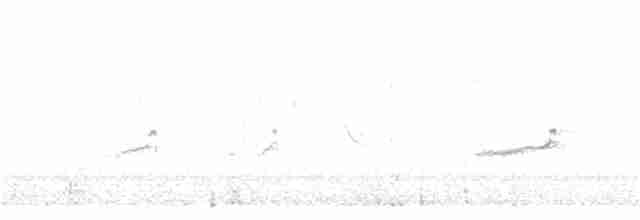 potápka černokrká - ML326556531