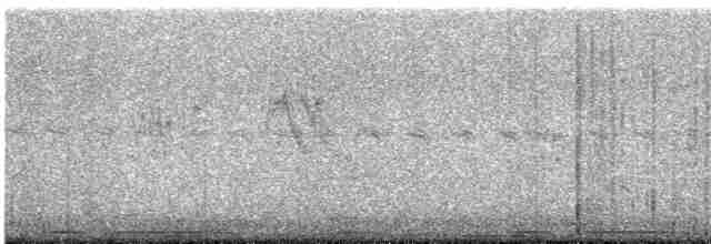 Eurasian Collared-Dove - ML326597031