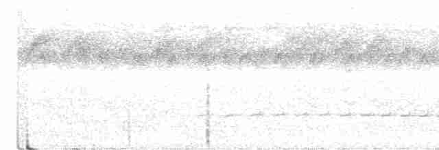 Tüpfelkronen-Ameisenvogel - ML326603811